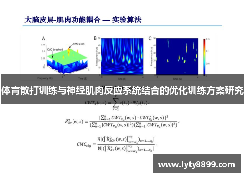 体育散打训练与神经肌肉反应系统结合的优化训练方案研究