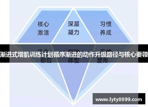 渐进式增肌训练计划循序渐进的动作升级路径与核心要领