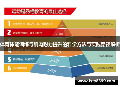 体育体能训练与肌肉耐力提升的科学方法与实践路径解析